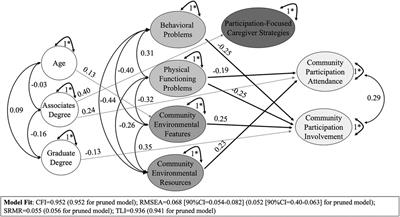 Caregiver strategies supporting community participation among children and youth with or at risk for disabilities: a mixed-methods study